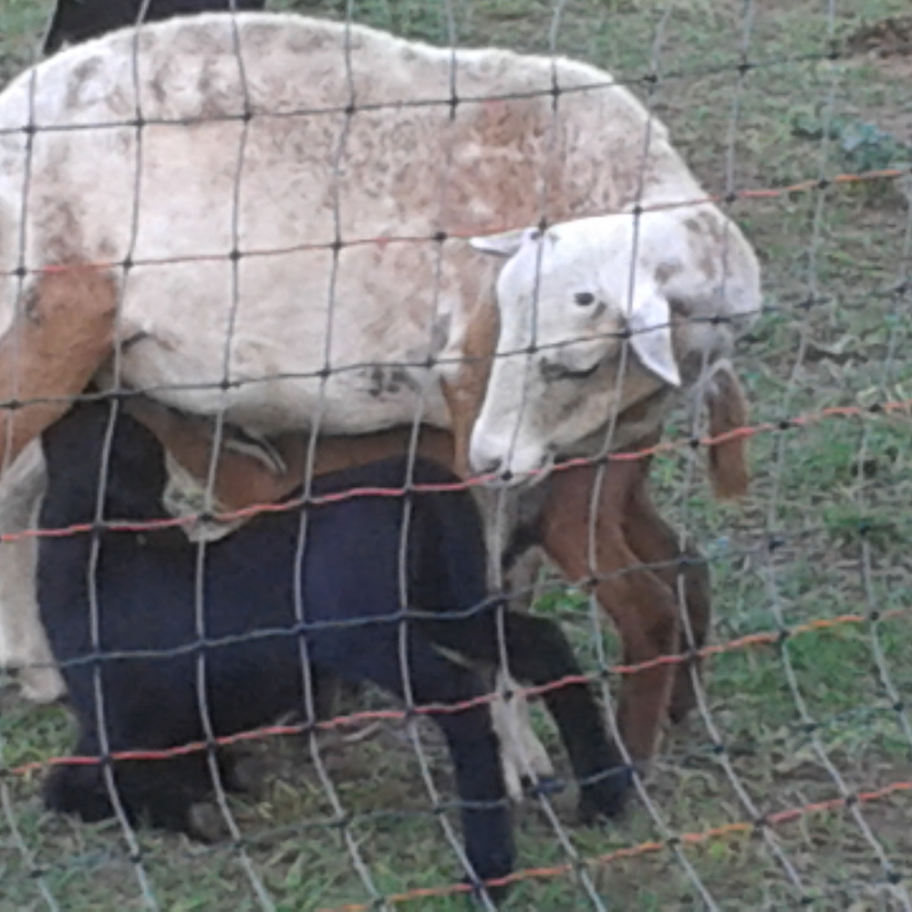 Cotton, Linen, Leather & Wool, but especially Love